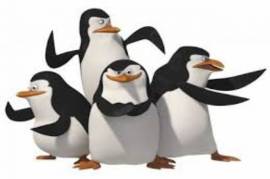 Ao de Vero traz os Pinguins do filme Madagascar