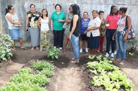 Maria do Carmo incentiva o cultivo de hortas domsticas em Aracaju