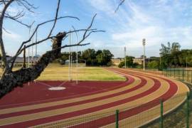 Construo de Pista de Atletismo em Aracaju  aprovada na Alese