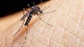 Boletim Epidemiolgico da dengue, chikungunya e zica  divulgado pela SES