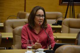 Deputada Goretti Reis participa de audincia pblica sobre oramento para 2018