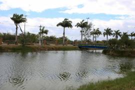 Emsurb solicita nova anlise da gua do lago do Parque da Sementeira