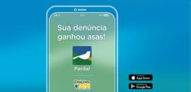 Aplicativo Pardal registra, at o momento, 72 denncias eleitorais em Sergipe
